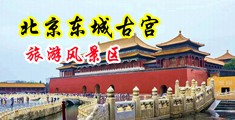 东京热制服诱惑中国北京-东城古宫旅游风景区